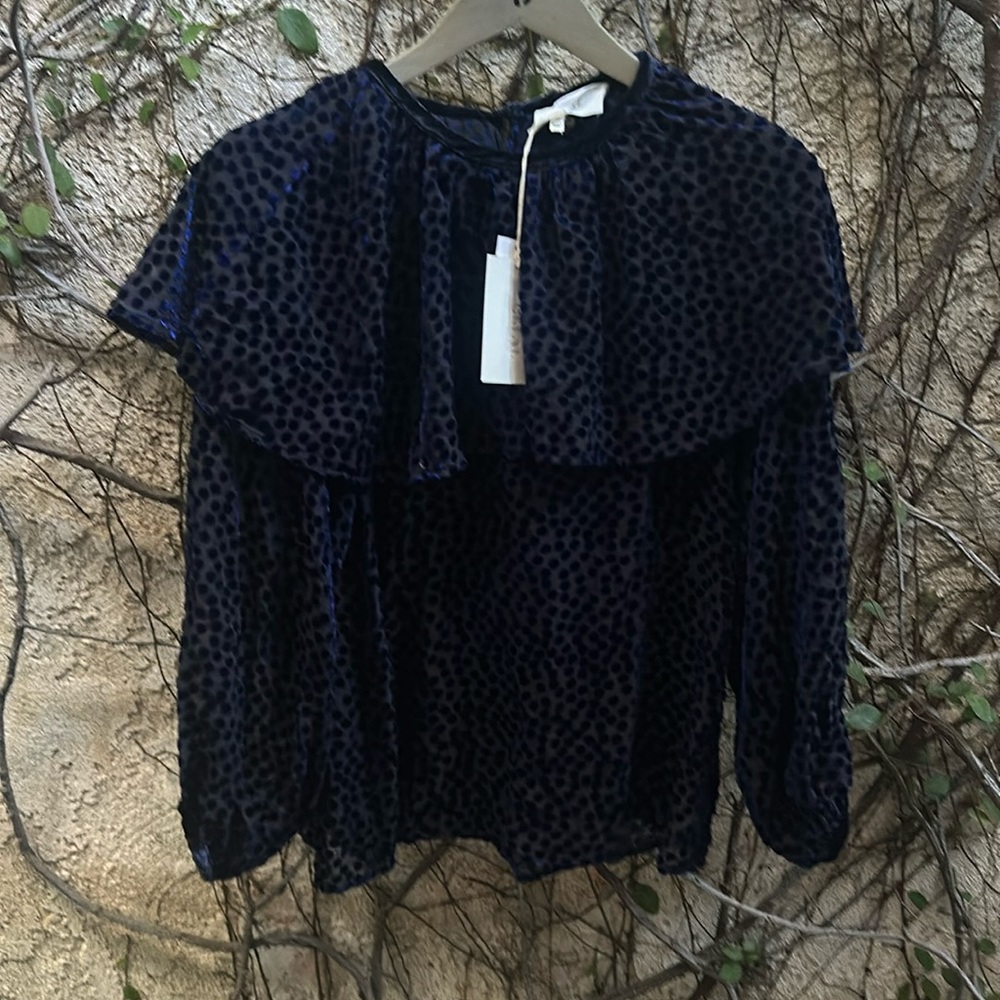 The Great Velour Long Sleeve Blouse